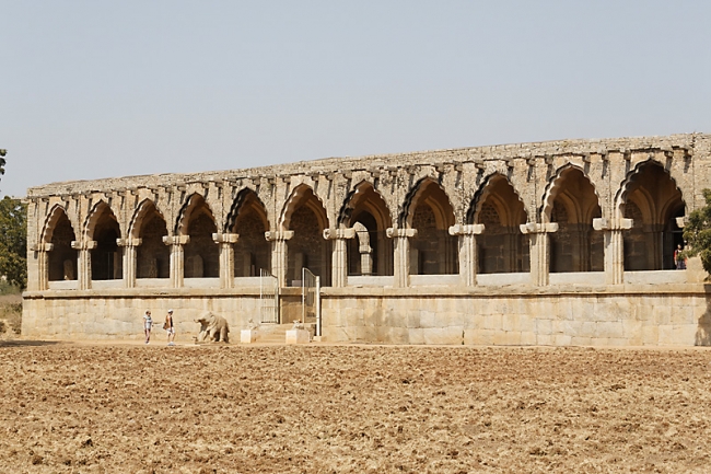 Hampi-Palais du lotus-036